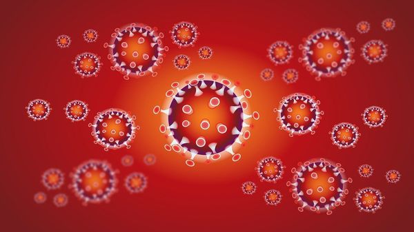 コロナウイルスを予防するライフスタイル　日常簡単にできる秘訣(1)